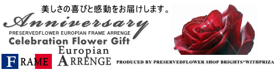 �衼���ԥ��󥹥�����γۤ˿��Ȥ���