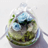 BLUE���֥롼