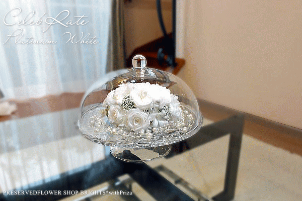 CelebRate������֥쥤�ȡ��ۥ磻�ȥ������β�«