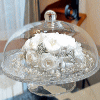 Celebrate�F�Z���u���[�g
