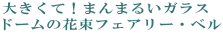 �傫���āI�܂�܂邢�K���X�h�[���̉ԑ� �t�F�A���[�E�x��