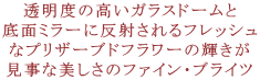 Fine Brights�F�t�@�C���E�u���C�c