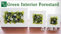 GREEN INTERIOR���ե��쥹������