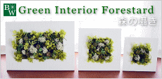 GREEN INTERIOR���ե��쥹������