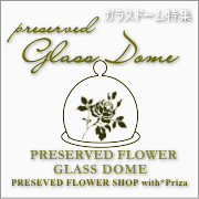 Glass Dome