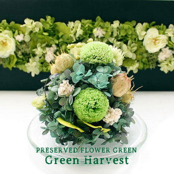 Green Harvest：グリーンハーベスト