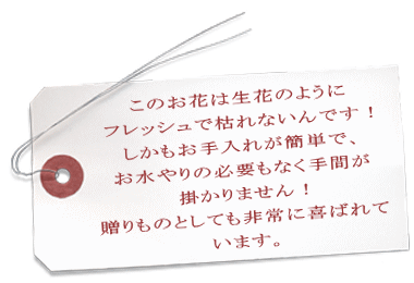 �����ܤ�ߤ��ߤ������ơ��꿨������֤Τ褦��<br>       �פ鷺�֤������֤���ʤ��Ρ��פ�ʹ���Ƥ��ޤ����餤���ץꥶ���֥ɥե��ϥե�å���ʷ����Ǽ����ʿ��礤�Ǥ��������⤪�����줬��ñ�ǿ����ɬ�פ��ʤ���Ĺ�������뤫�顢���͵��޾徺��