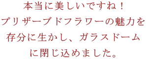 ��ˤ����ִ־д餬���ܤ��