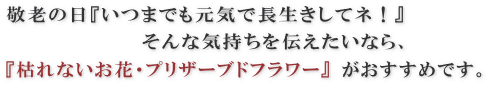 ���ĤޤǤ⸵����Ĺ�������ƥ͡�
