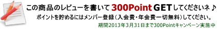 300Point進呈キャンペーン実施中