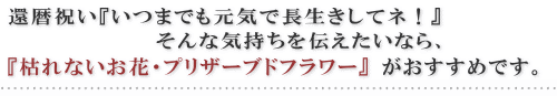 ���ĤޤǤ⸵����Ĺ�������ƥ͡�