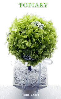 �ȥԥ��꡼�ߥ�ȡ�Topiary Mint