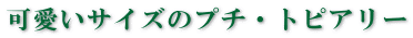 �ץ�