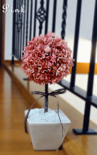 �ȥԥ��꡼�ԥ󥯡�Topiary Pink
