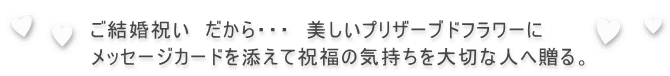 ���뺧�ˤ��������顦�������������ץꥶ���֥ɥե���