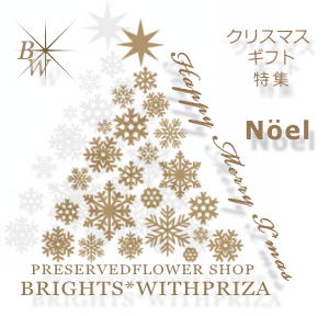 ���ꥹ�ޥ��ý�