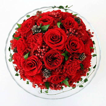 お祝いに人気の赤い花束