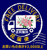 プリザーブドフラワー送料無料