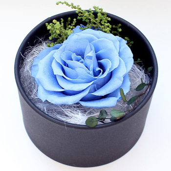 青い色の花