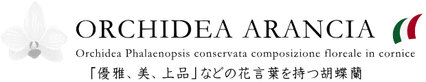  「優雅、美、上品」などの花言葉を持つ胡蝶蘭をはじめ華やかな花が咲き誇る