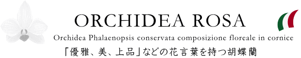  「優雅、美、上品」などの花言葉を持つ胡蝶蘭をはじめ華やかな花が咲き誇る