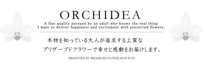 本物を知っている大人が追求する胡蝶蘭のプリザーブドフラワー