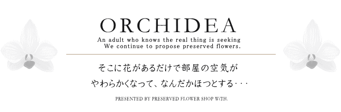 そこに花があるだけで部屋の空気がやわらかくなってなんだかほっとする。