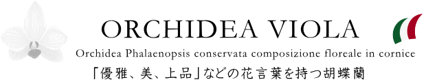  「優雅、美、上品」などの花言葉を持つ胡蝶蘭をはじめ華やかな花が咲き誇る