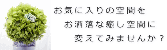 お洒落な癒し空間