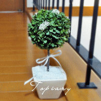 Topiary Basil：トピアリー バジル